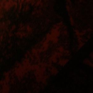 Meet your Posher, Jeremiah